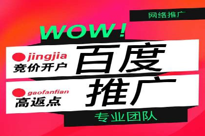SEM托管公司案例：业绩提升之道