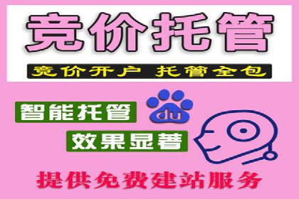 案例分析：SEM竞价员优化广告投放